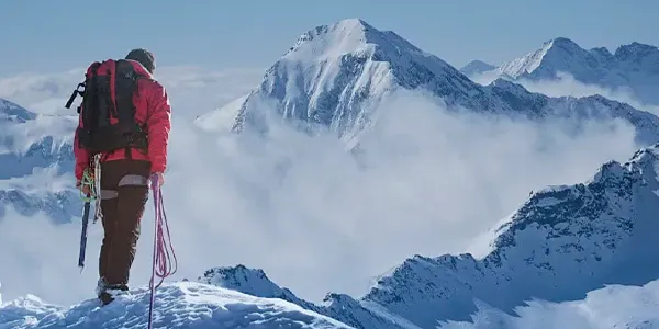 Ontdek producten die je leven positief veranderen Gewoonweg perfect en onweerstaanbaar mooi
